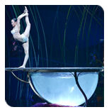 amaluna2012